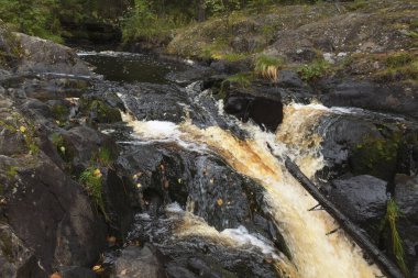 Tohmajoki nehrinde Ahwenkoski şelalesi