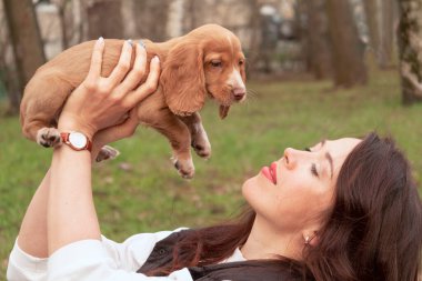 Genç ve çekici bir kadın, şirin bir cocker spaniel yavrusunu muayene ediyor. Yeni sevimli bir aile üyesi. Hayvan Bakımı ve Evcil Hayvan Konsepti