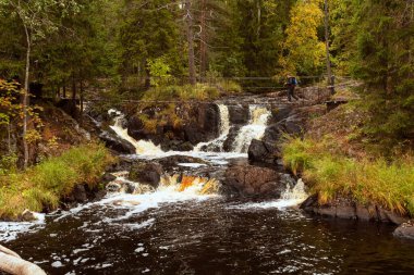 Tohmajoki nehrinde Ahwenkoski şelalesi. Karelia Cumhuriyeti. Rusya