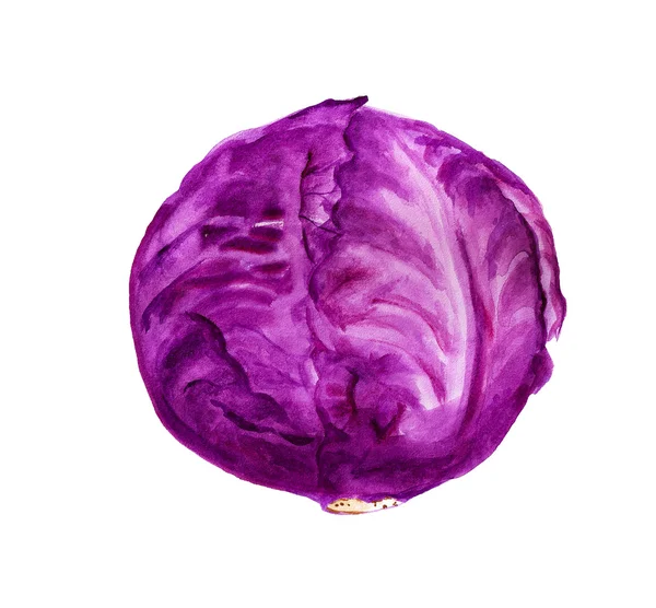Loaf of Red cabbage — Stock Photo, Image