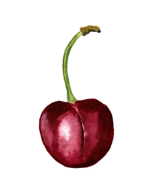 Cereza roja dulce — Foto de Stock