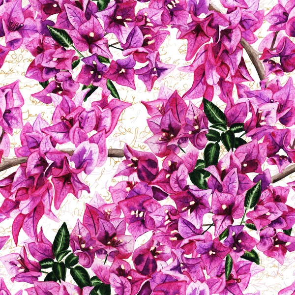 Απρόσκοπτη μοτίβο με λουλούδια μπουκαμβίλιας — Φωτογραφία Αρχείου