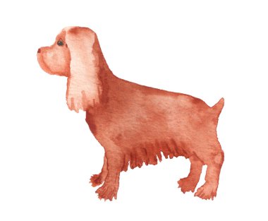 Spaniel 'in suluboya resmi.