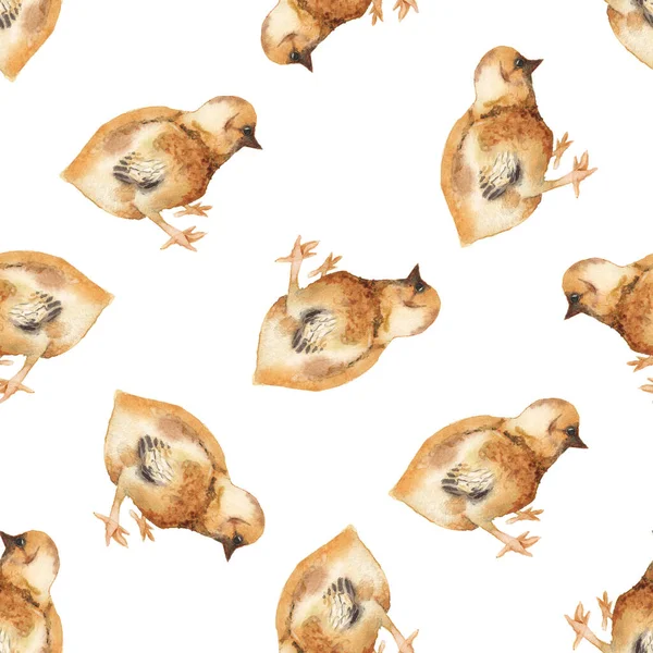 Seamless pattern with watercolor image of chicken. — Stock Photo, Image