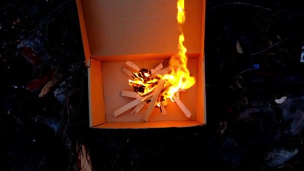 Огонь в картонной коробке — стоковое видео