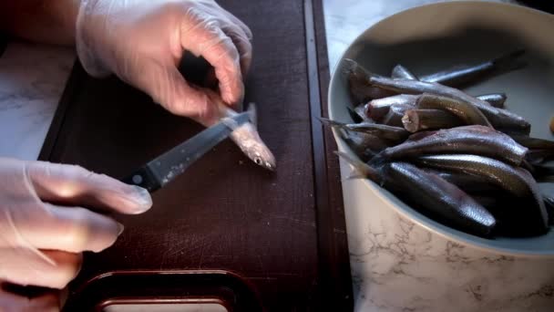 Мужские руки в перчатках, чистящие рыбу — стоковое видео