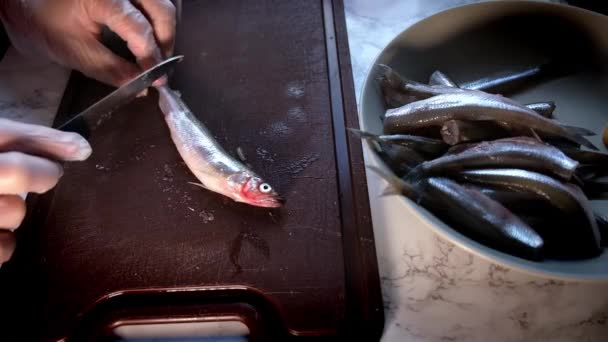 Manos masculinas en guantes cepillando peces — Vídeo de stock