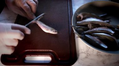 Eldivenli erkek eller balıkları fırçalıyor.