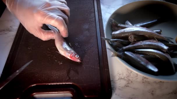 Mãos masculinas em luvas escovando peixes — Vídeo de Stock