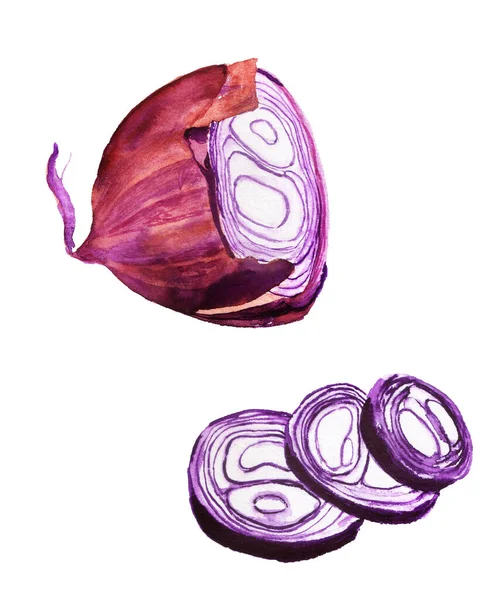 Aquarell Bild von lila Zwiebel Hälfte und in Scheiben geschnitten — Stockfoto