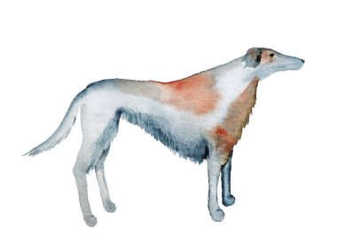 Av köpeğinin suluboya karikatür resmi