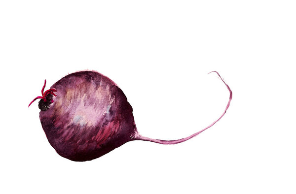 Beet root