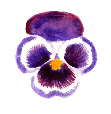 Menekşe homo çiçek