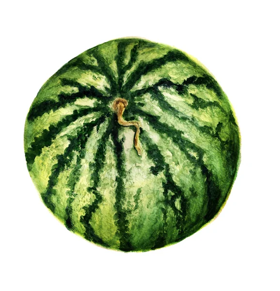 Ganze reife Wassermelone — Stockfoto