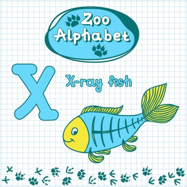 alfabe, x-ışını balık, harf x