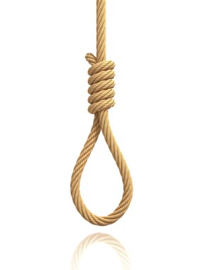 Hangman's noose iple