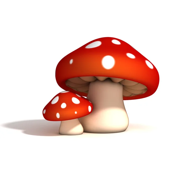 Paddenstoelen geïsoleerd op een witte achtergrond — Stockfoto