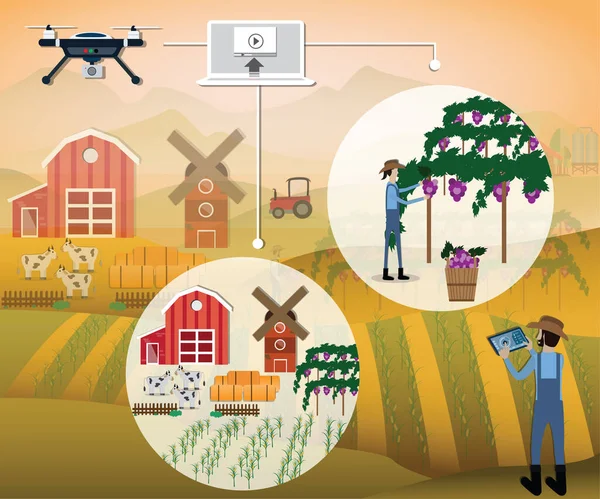 Flache Gestaltung Des Unternehmenserfolgs Der Landwirt Verwendet Drohne Video Für — Stockvektor