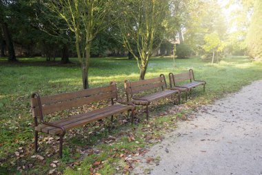 Sonbaharda parkta sabah parıltısı