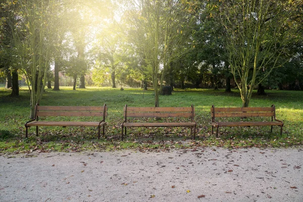 Morgenleuchten Park Herbst — Stockfoto
