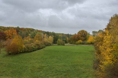Sonbaharda çayırda sarı ve portakal ağaçları