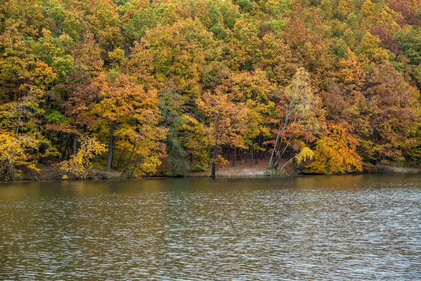 Podzimní Krajina Barevným Lesem Jezerem — Stock fotografie