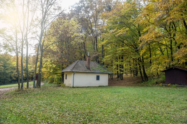 Mały Domek Lesie Jesienią — Zdjęcie stockowe