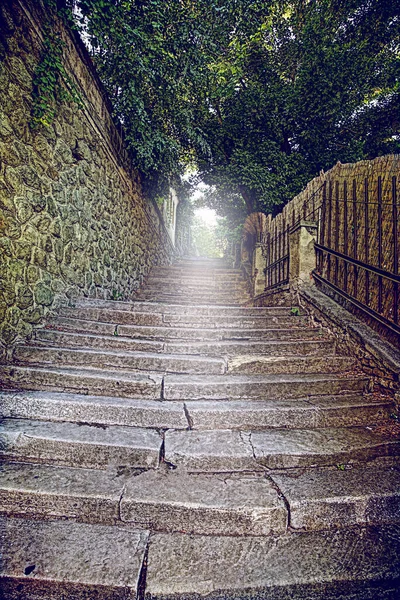 Vieux Escaliers Pierre Avec Lueur Matin Arbre — Photo