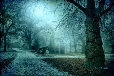 Gece park et mavi grunge arka planı ile