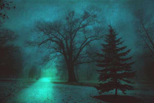 Park in the night with blue grunge background