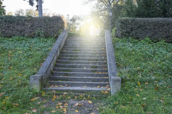 朝焼けと緑の芝生の古い石の階段 — ストック写真