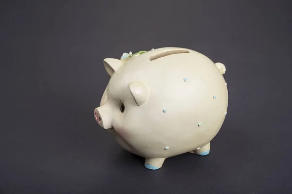 Ceramic money saving pig. Piggy bank
