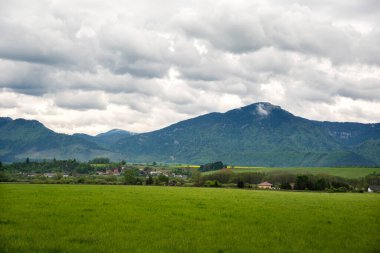 İlkbaharda vadide bir kasaba. Ormandaki evler ve apartmanlar