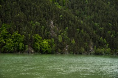 Baharda Dağ Nehri Vadisi 'nin kenarında