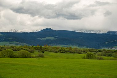 Baharda yeşil vadi. Ağaçlı çayır ve tarla