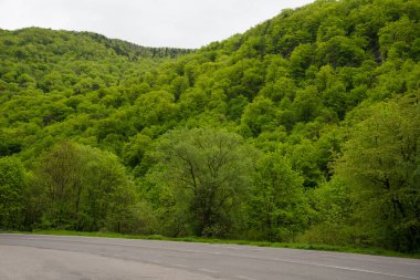 Çayırda, tarlada ve baharda dağda yol