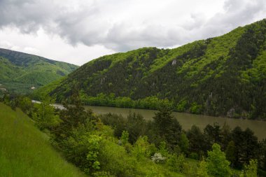 Mountain River Vadisi. Ağaçlarda yeni bahar filizleri.