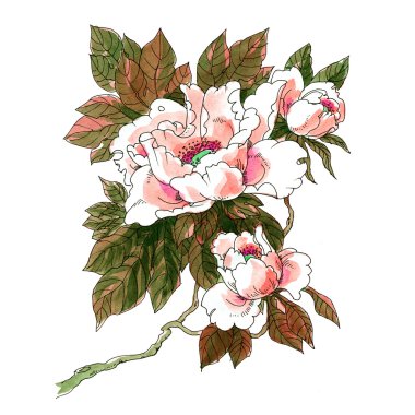 Klasik bir tarzda beyaz zemin üzerine suluboya çiçek