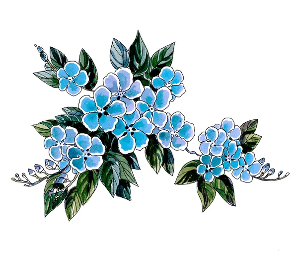 Aquarellblumen im klassischen Stil auf weißem Hintergrund — Stockfoto