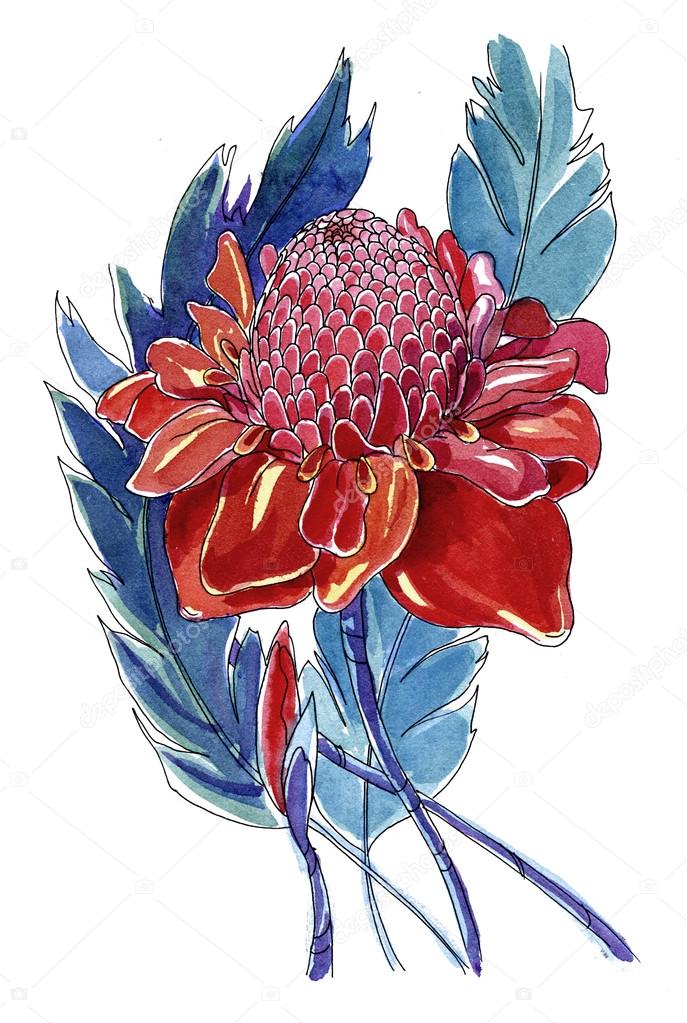 Watercolor flowers in a classical style on a white background