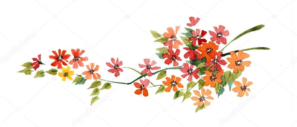 Watercolor flowers in a classical style on a white background