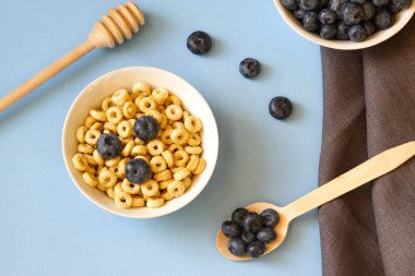 Mavi arka plandaki beyaz kasede yaban mersini ve bal halkaları. Sağlıklı kahvaltı. Uzayı kopyala Yatay oryantasyon. Üst Manzara. Düz yatıyordu