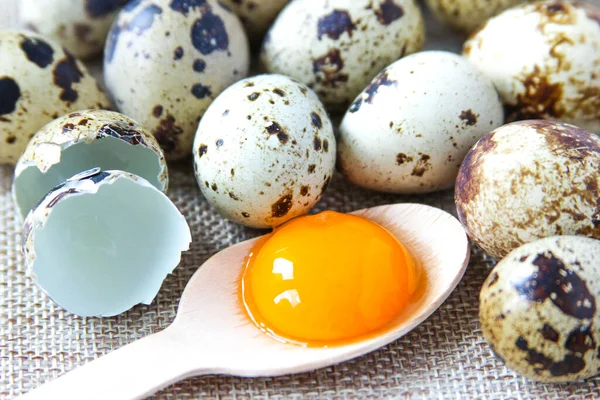 Fresh quail eggs on the rustic background. Raw egg yolk in the wooden spoon closeup. Concept healthy food. Concept of preparation for cooking. — Stock Photo, Image
