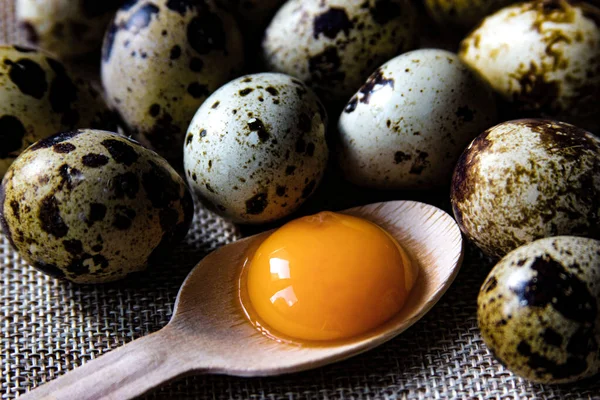 Fresh quail eggs on the rustic background. Raw egg yolk in the wooden spoon closeup. Concept healthy food. Concept of preparation for cooking. — Stock Photo, Image