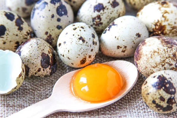 Fresh quail eggs on the rustic background. Raw egg yolk in the wooden spoon closeup. Concept healthy food. Concept of preparation for cooking. — Stock Photo, Image