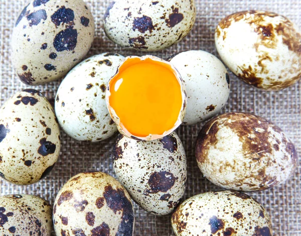 Fresh Quail Eggs Rustic Background Raw Egg Yolk Closeup Concept — Stock Photo, Image