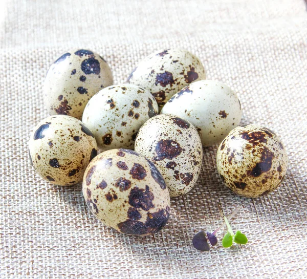 Quail eggs on the white napkins on the rustic background. Concept healthy food. — Stock Photo, Image