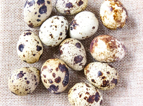 Huevos de codorniz en las servilletas blancas en el fondo rústico. Concepto de comida saludable. De cerca.. — Foto de Stock