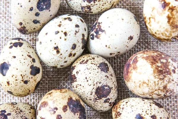 Quail eggs on the white napkins on the rustic background. Concept healthy food. Close up. — Stock Photo, Image