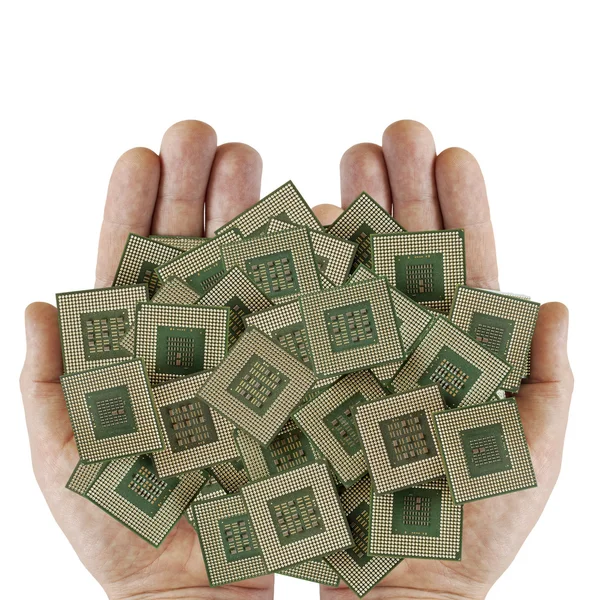 insan bir palm eski kirli yongaları